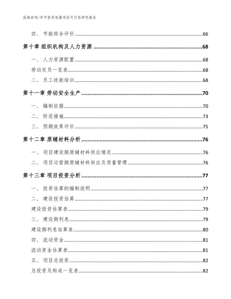 毕节家用电器项目可行性研究报告【参考范文】_第5页