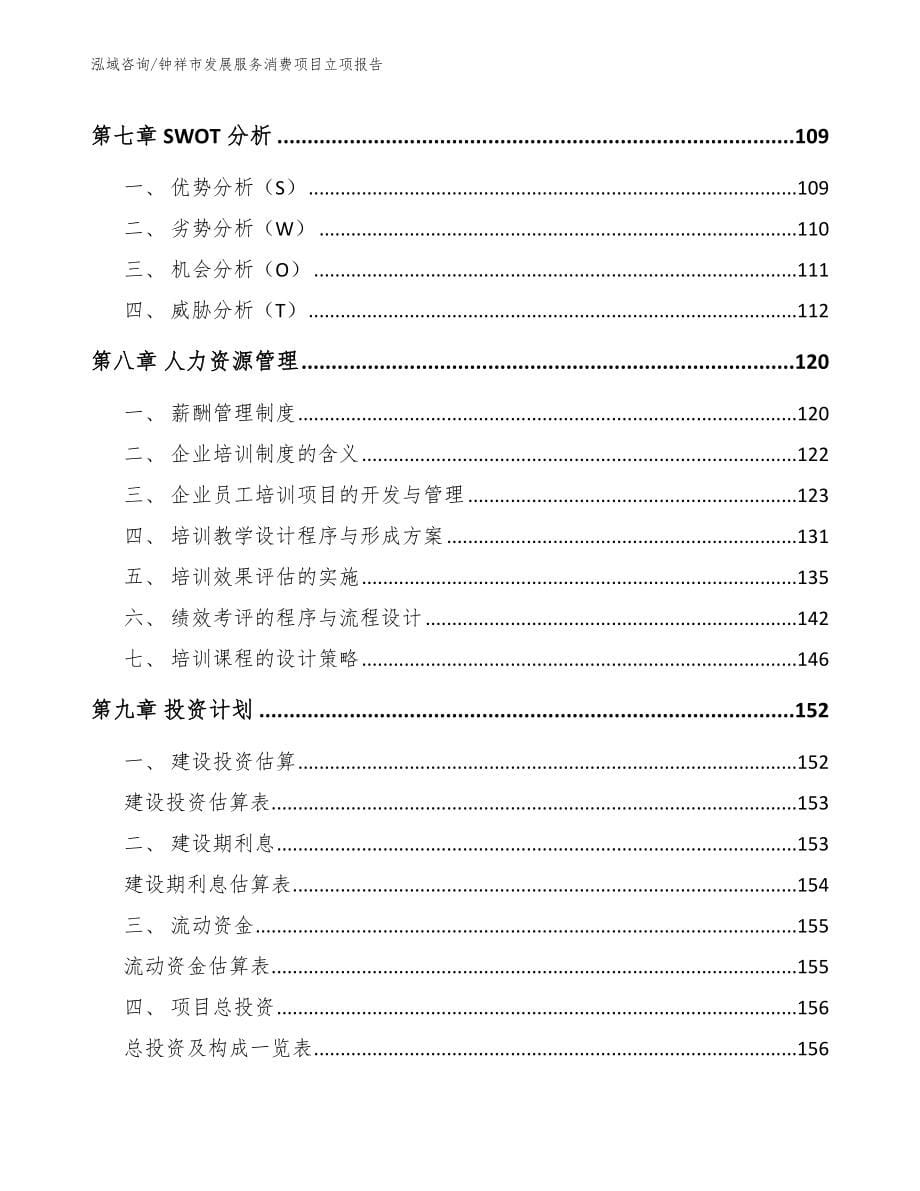 钟祥市发展服务消费项目立项报告_第5页