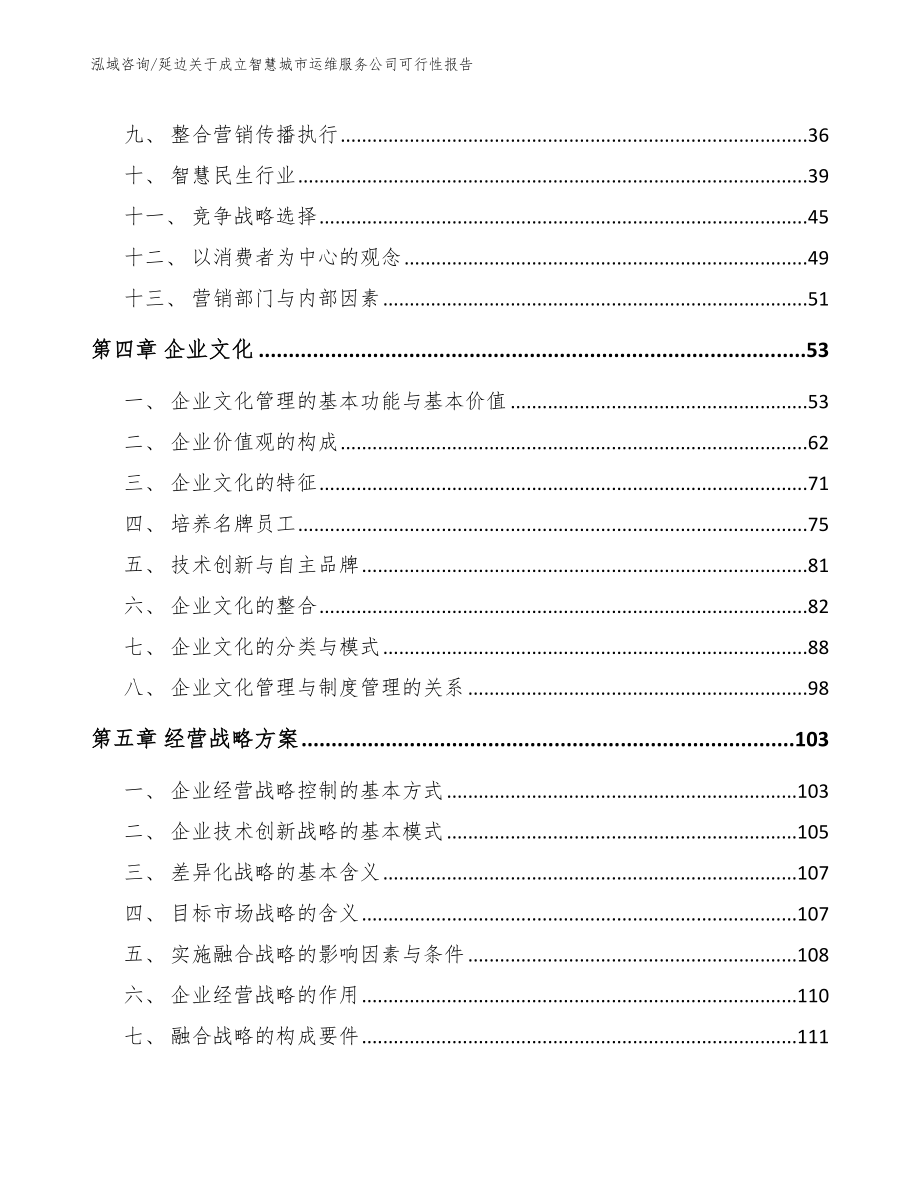 延边关于成立智慧城市运维服务公司可行性报告_第3页