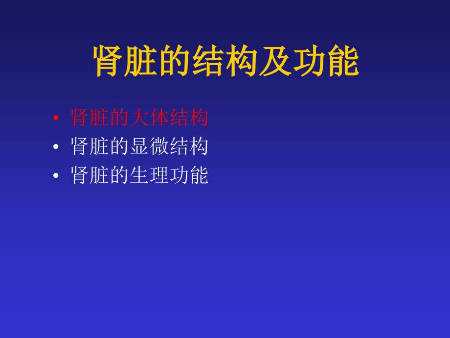 肾脏的结构及功能ppt课件.ppt_第2页