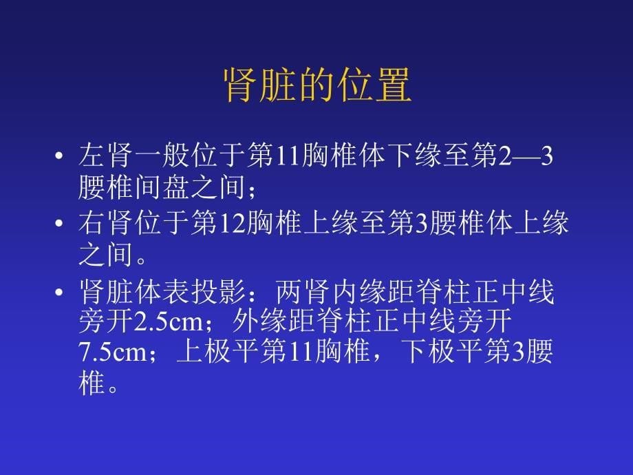 肾脏的结构及功能ppt课件.ppt_第5页