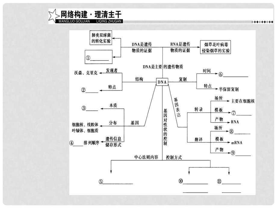 高考生物二轮专题复习 专题三 遗传、变异和进化 小专题6 遗传的分子基础课件_第4页