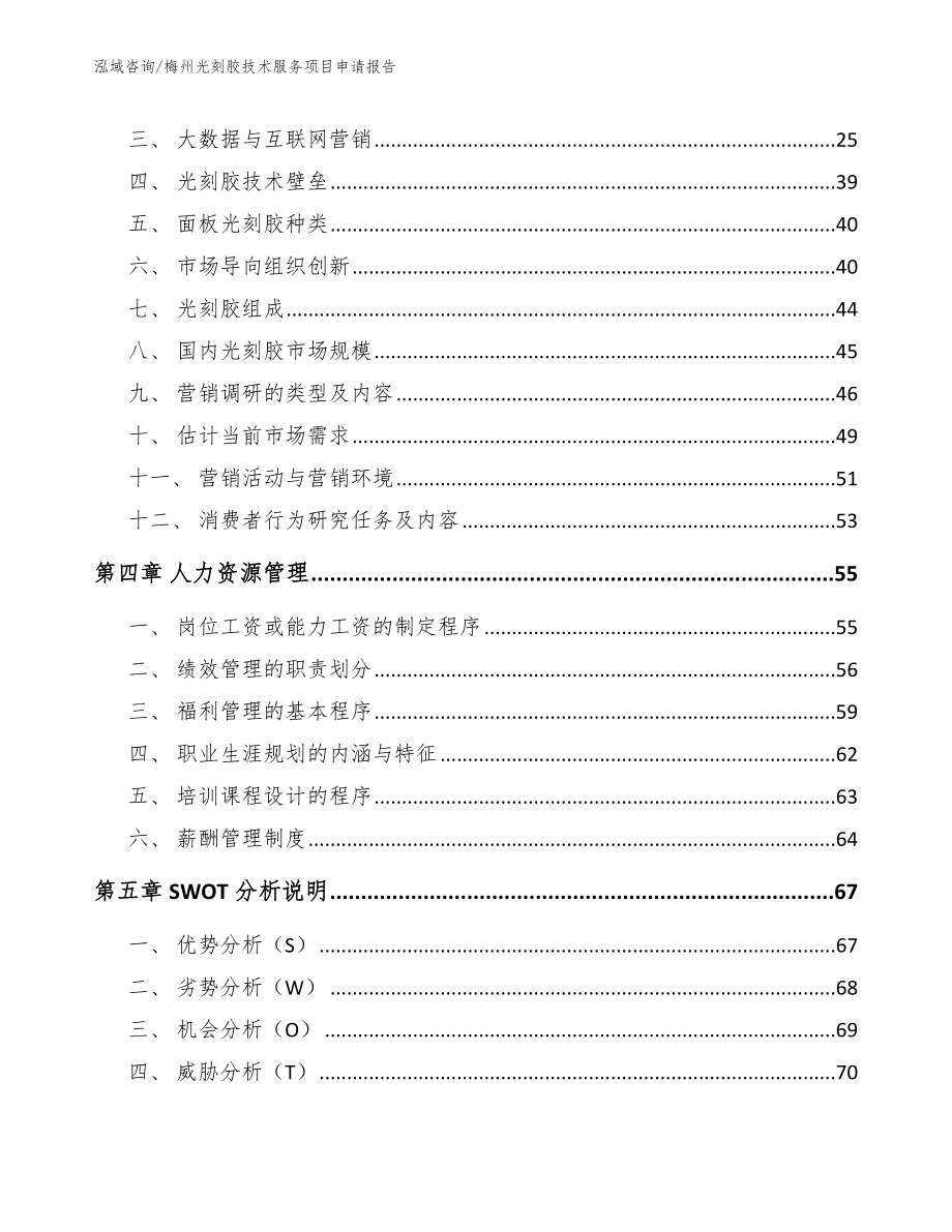 梅州光刻胶技术服务项目申请报告_范文_第2页