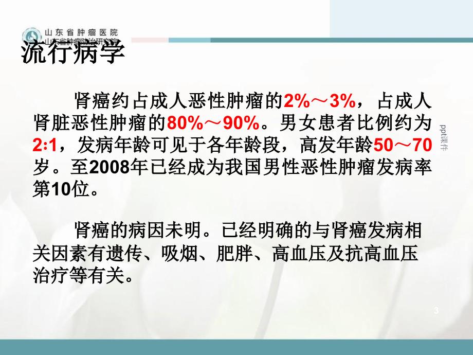 肾癌病人的护理ppt课件1_第3页