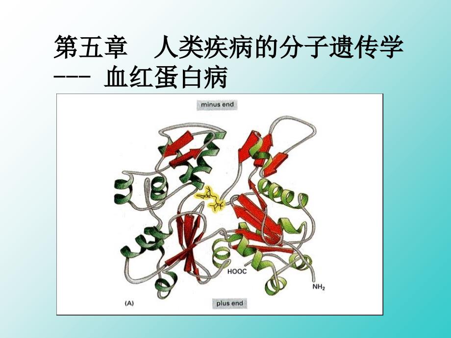 遗传学医用课件_第1页