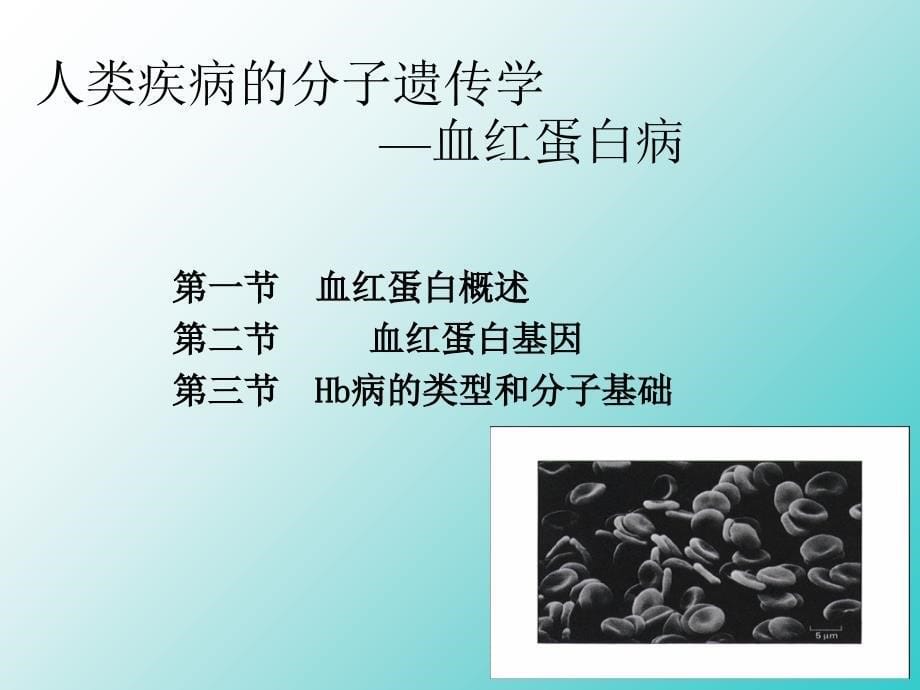 遗传学医用课件_第5页