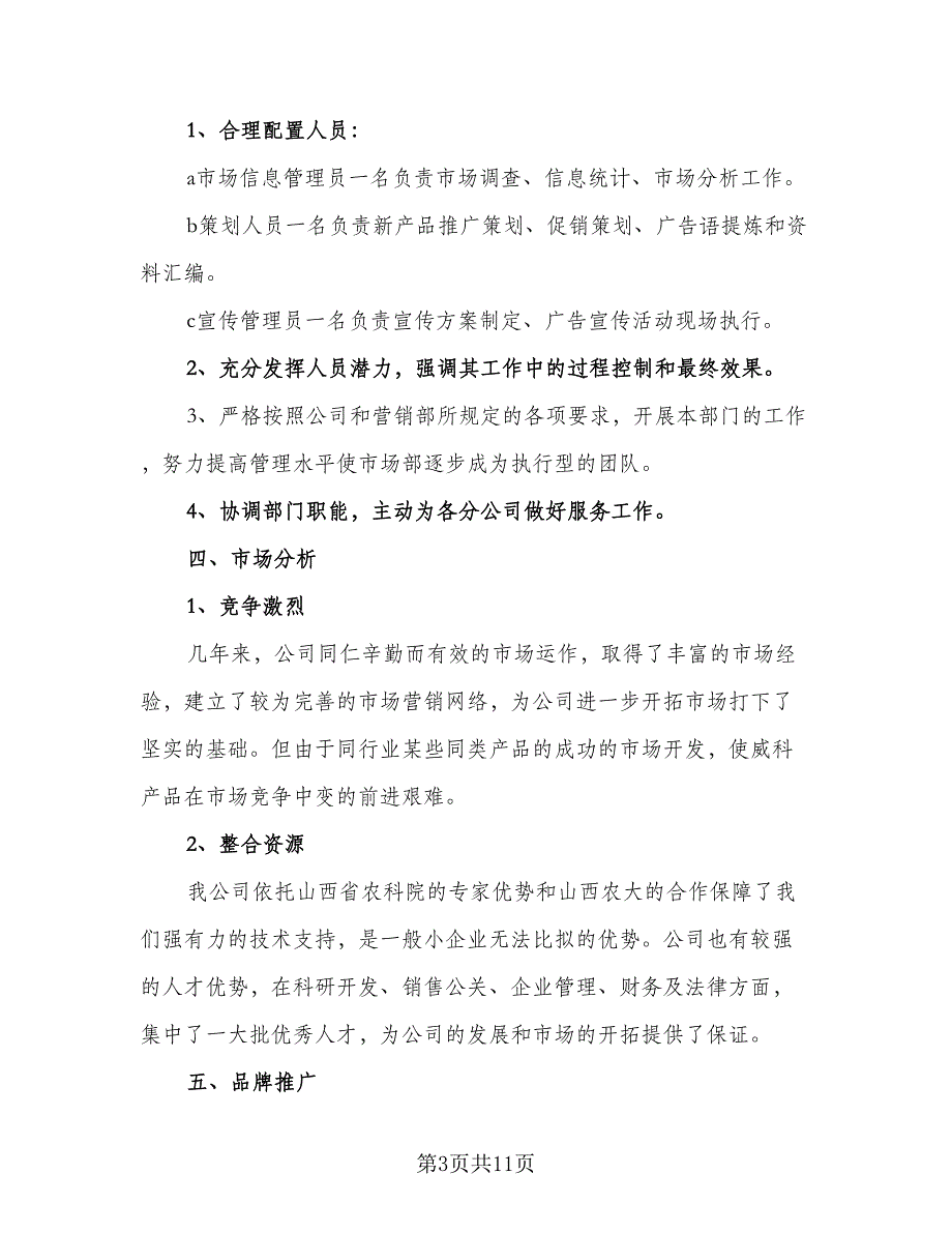 2023年销售人员工作计划格式范本（四篇）_第3页