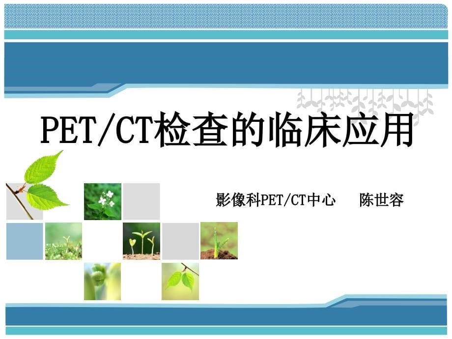 PETCT检查的临床应用1.15_第5页