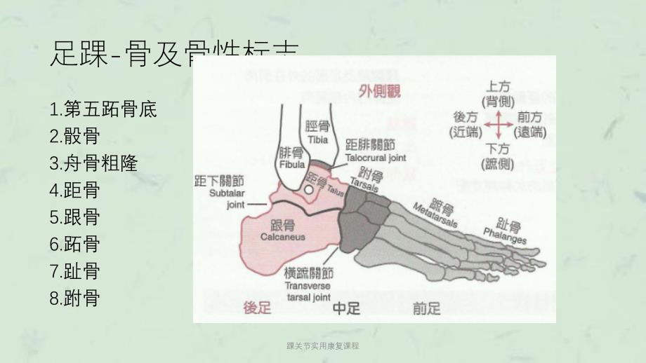 踝关节实用康复课程课件_第3页