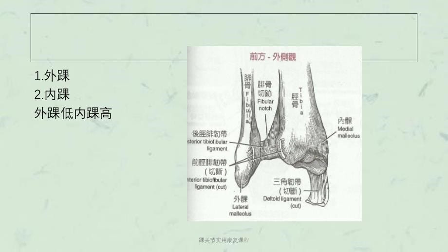 踝关节实用康复课程课件_第5页