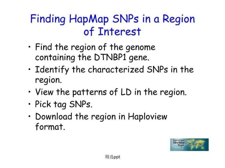 hapmap如何寻找snp位点_第3页