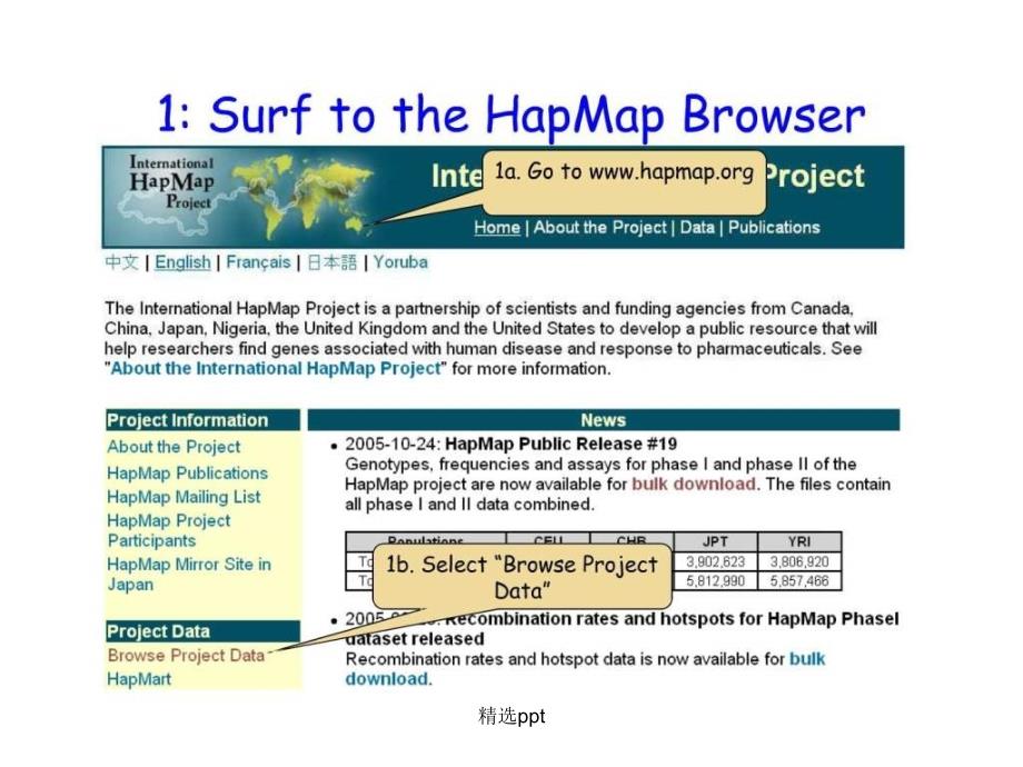 hapmap如何寻找snp位点_第4页