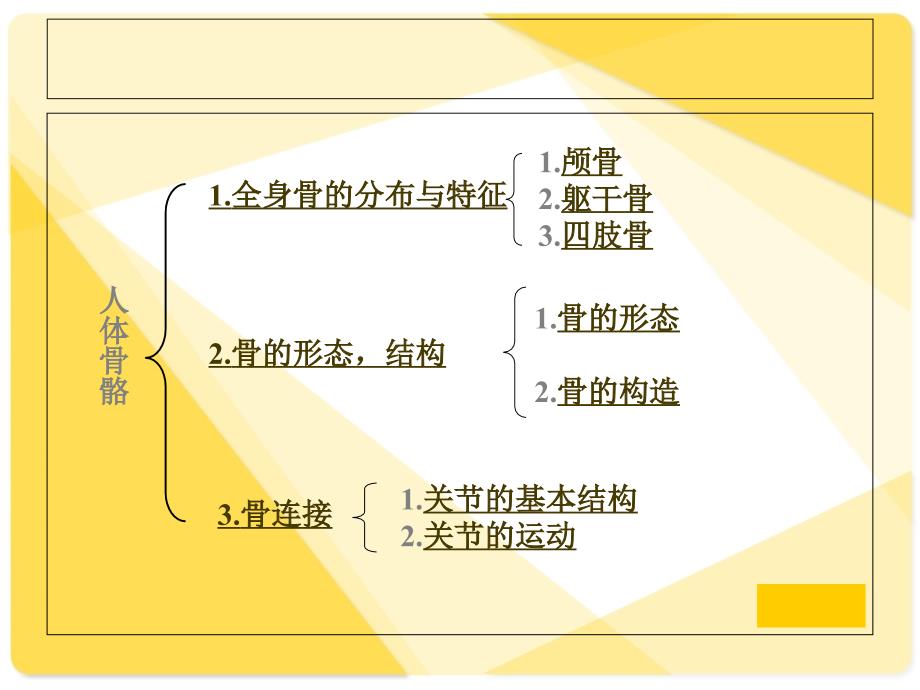 骨骼与肌肉人体解剖生理学_第3页