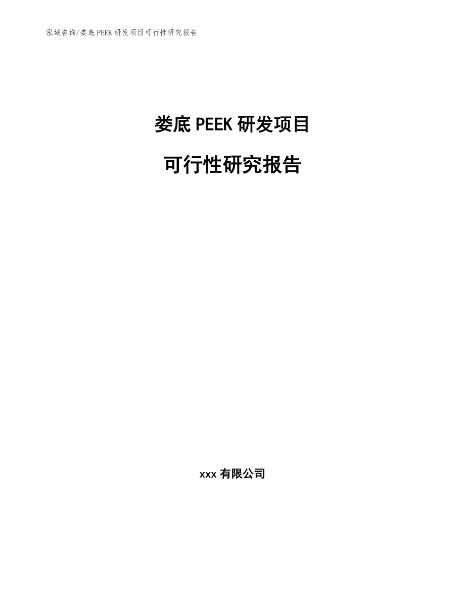 娄底PEEK研发项目可行性研究报告_第1页