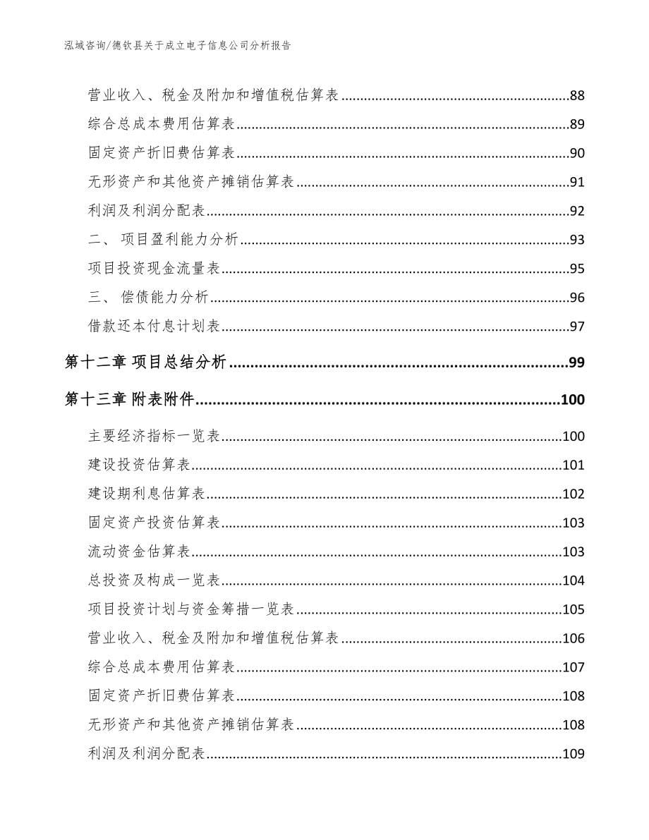 德钦县关于成立电子信息公司分析报告范文_第5页