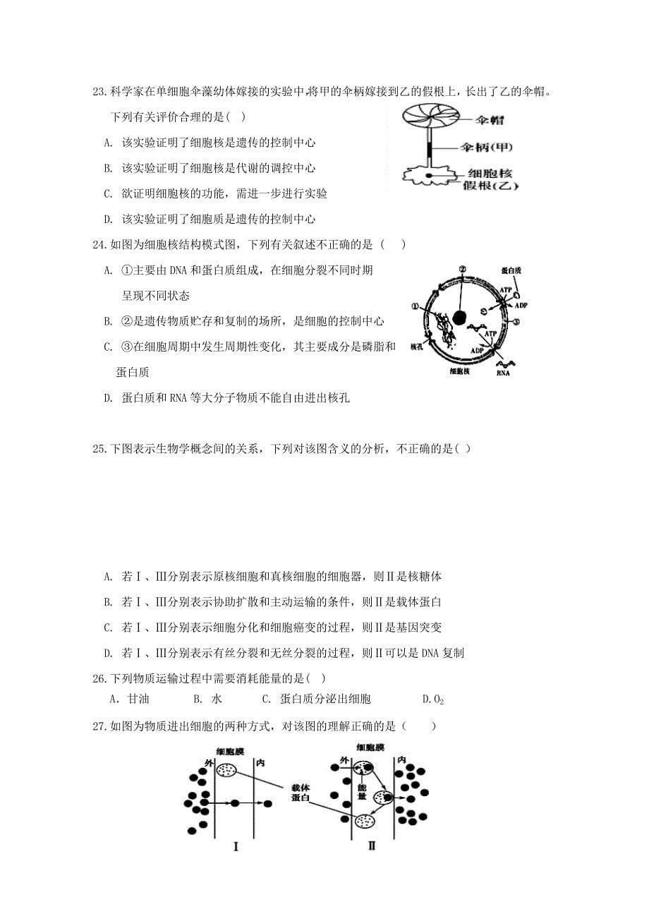 2022-2023学年高二生物上学期第四次月考试题(普通班)_第5页