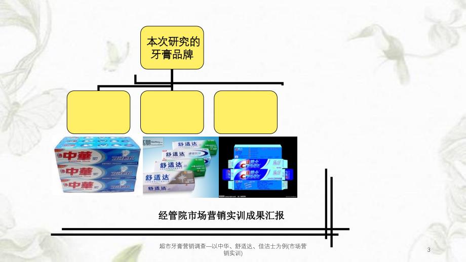 超市牙膏营销调查以中华舒适达佳洁士为例市场营销实训课件_第3页