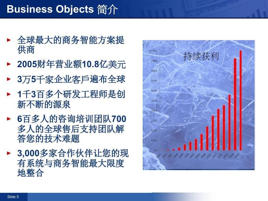 精品企业信息化可编辑_第5页