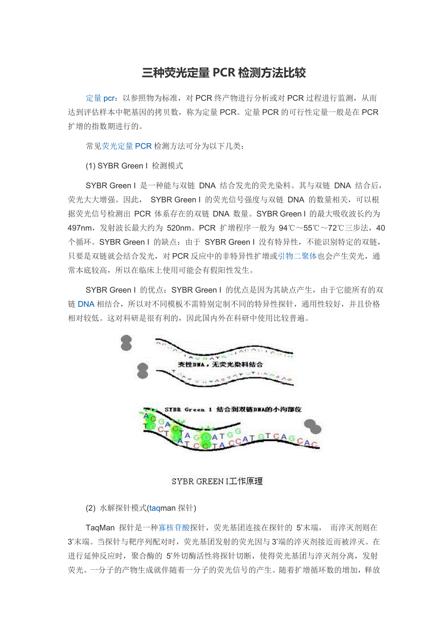 三种荧光定量PCR检测方法比较_第1页
