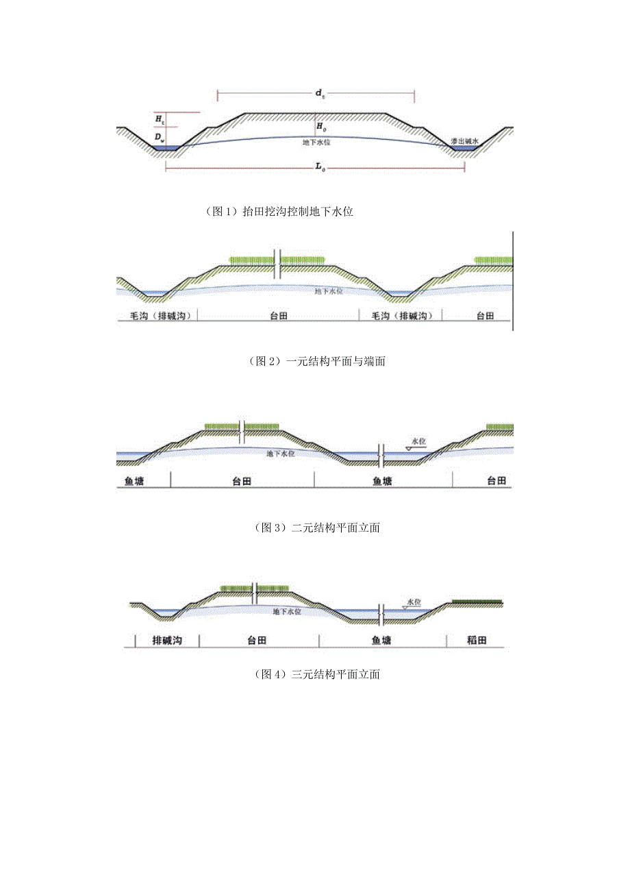 开发台田,造福家乡.doc_第4页