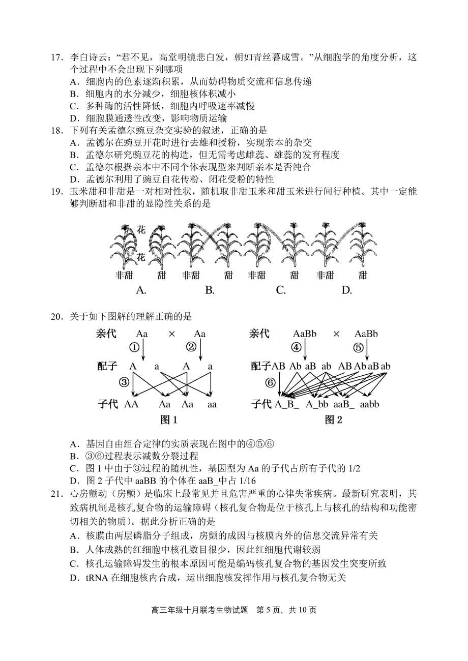 武汉外校2015届高三年级十月联考生物试题_第5页