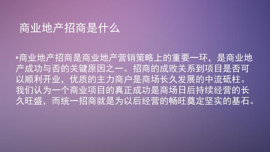 商业地产招商流程及策略_第2页