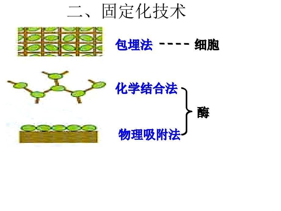 固定化酵母细胞.方案课件_第5页