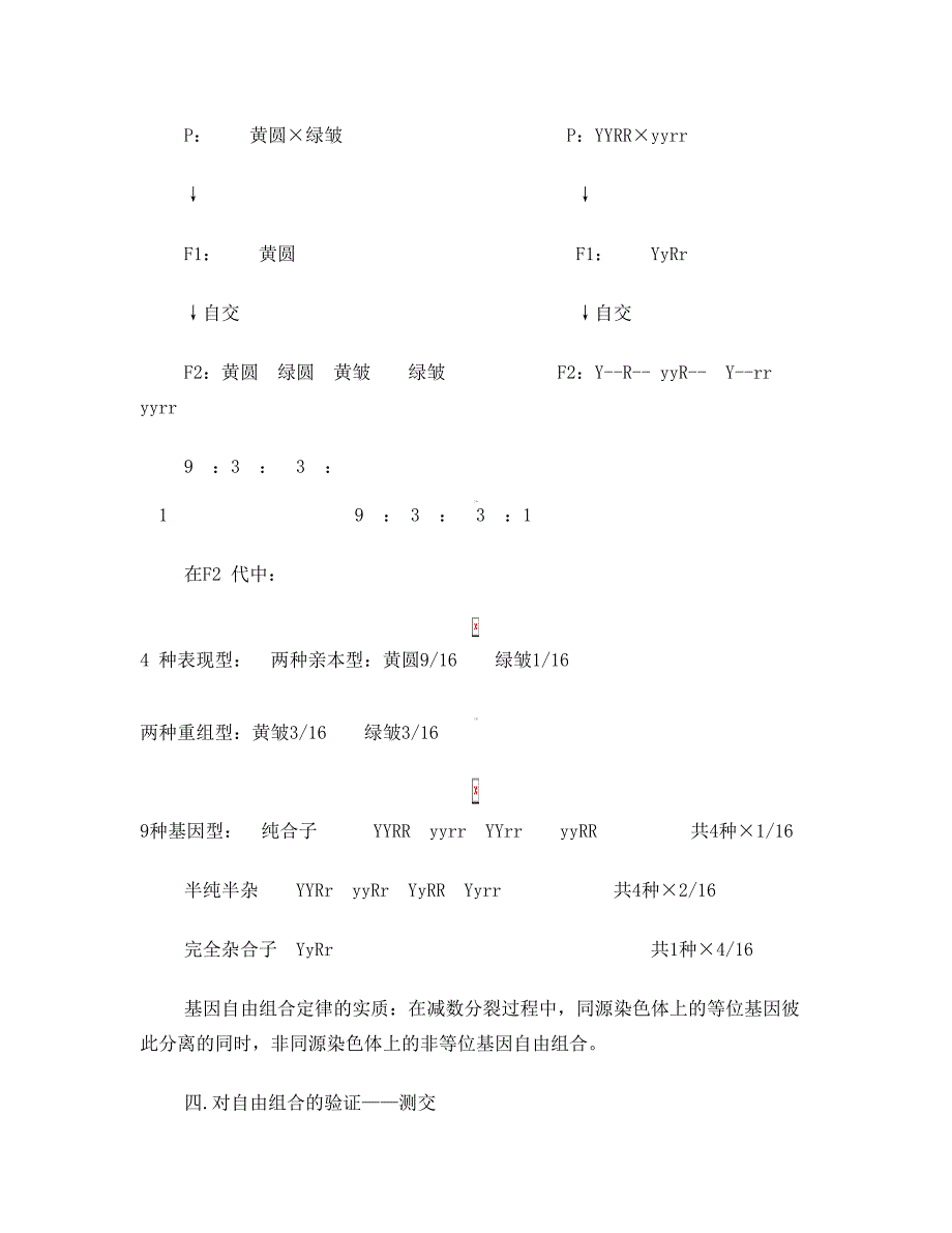 最新高中生物必修二知识点总结高分必背(版)优秀名师资料_第4页