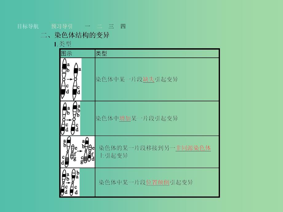 高中生物 5.2 染色体变异课件 新人教版必修2.ppt_第4页