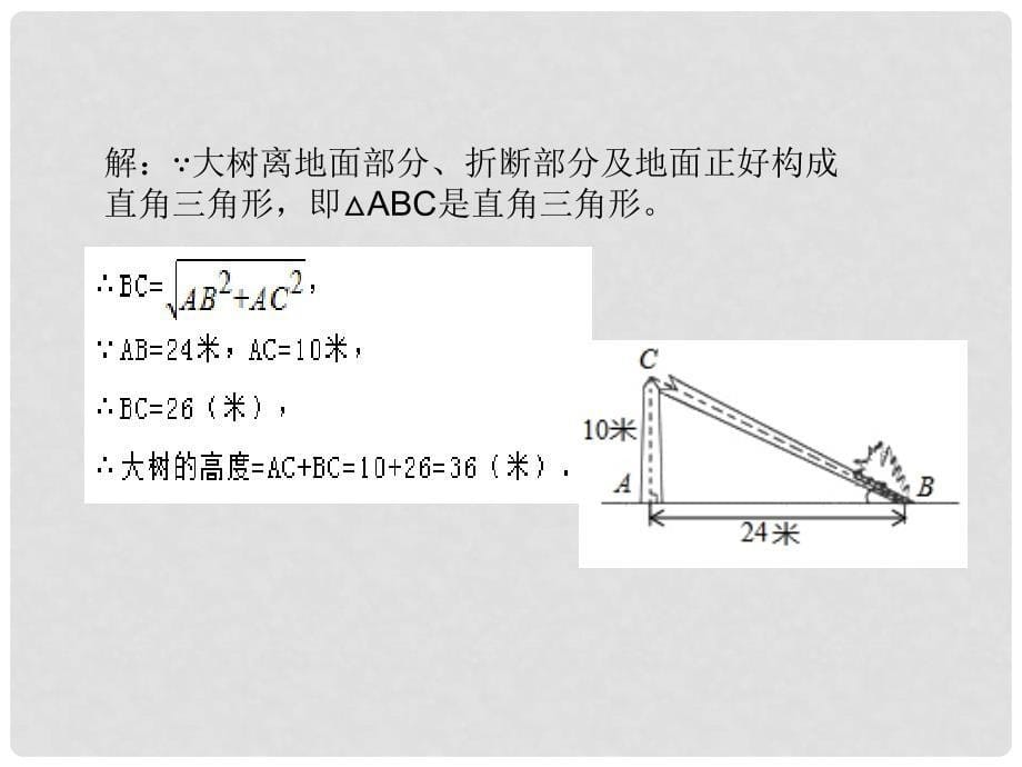 九年级数学上册 24.4.1 解直角三角形教学课件 （新版）华东师大版_第5页