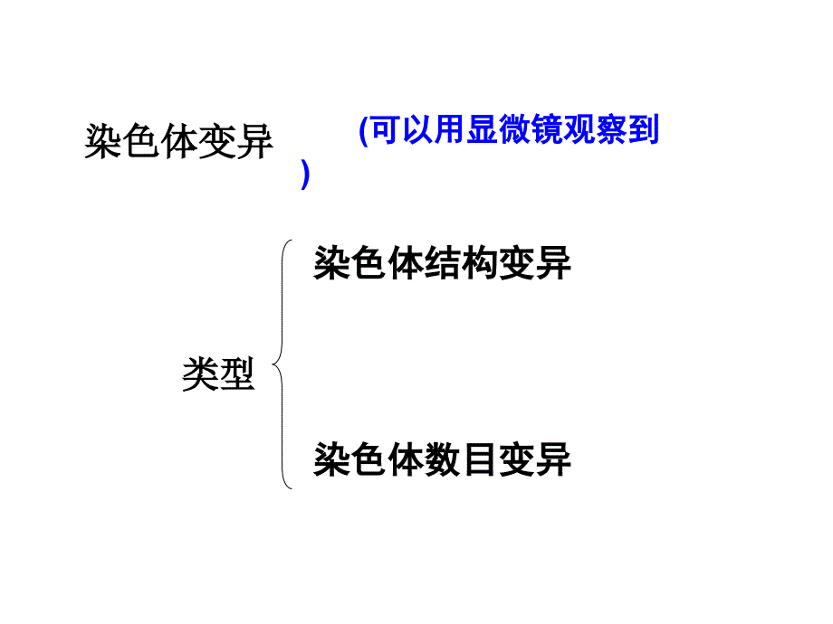 染色体变异(公开课)_第3页