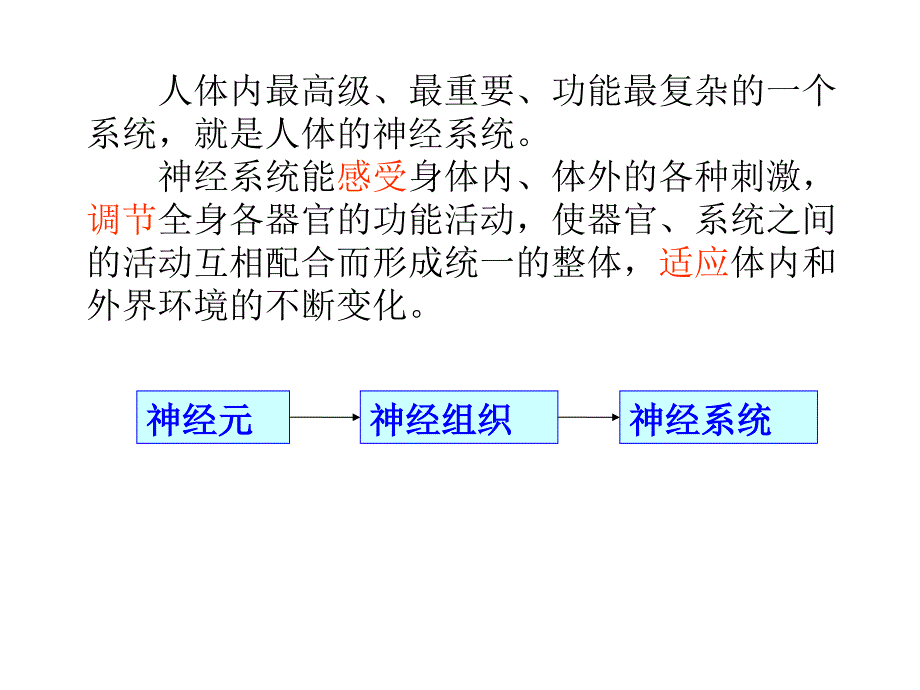 医学课件神经调节和激素行为_第2页