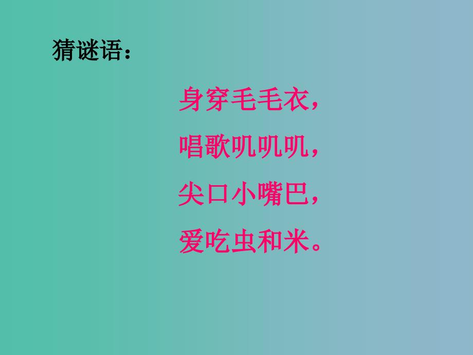 2022版一年级语文上册《数小鸡》课件3 沪教版_第1页