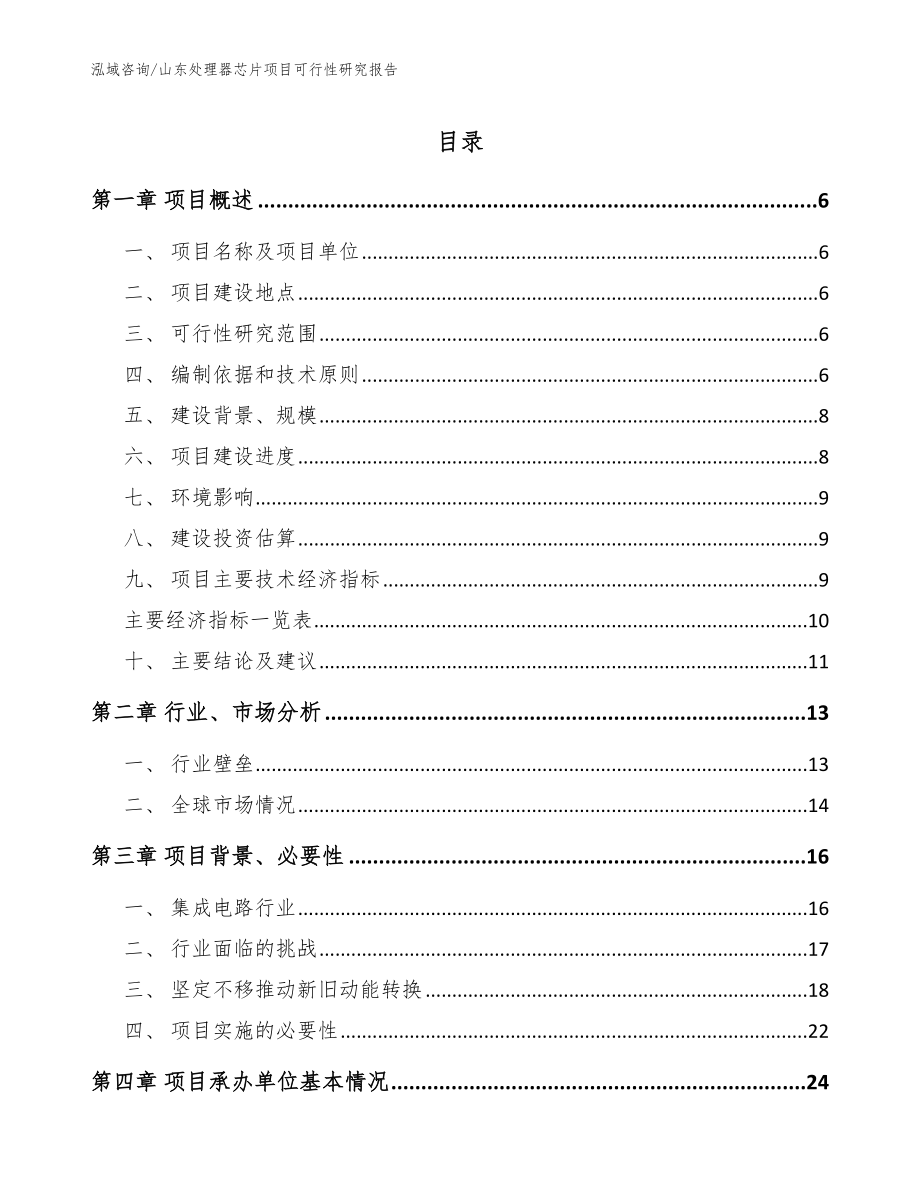 山东处理器芯片项目可行性研究报告参考范文_第1页