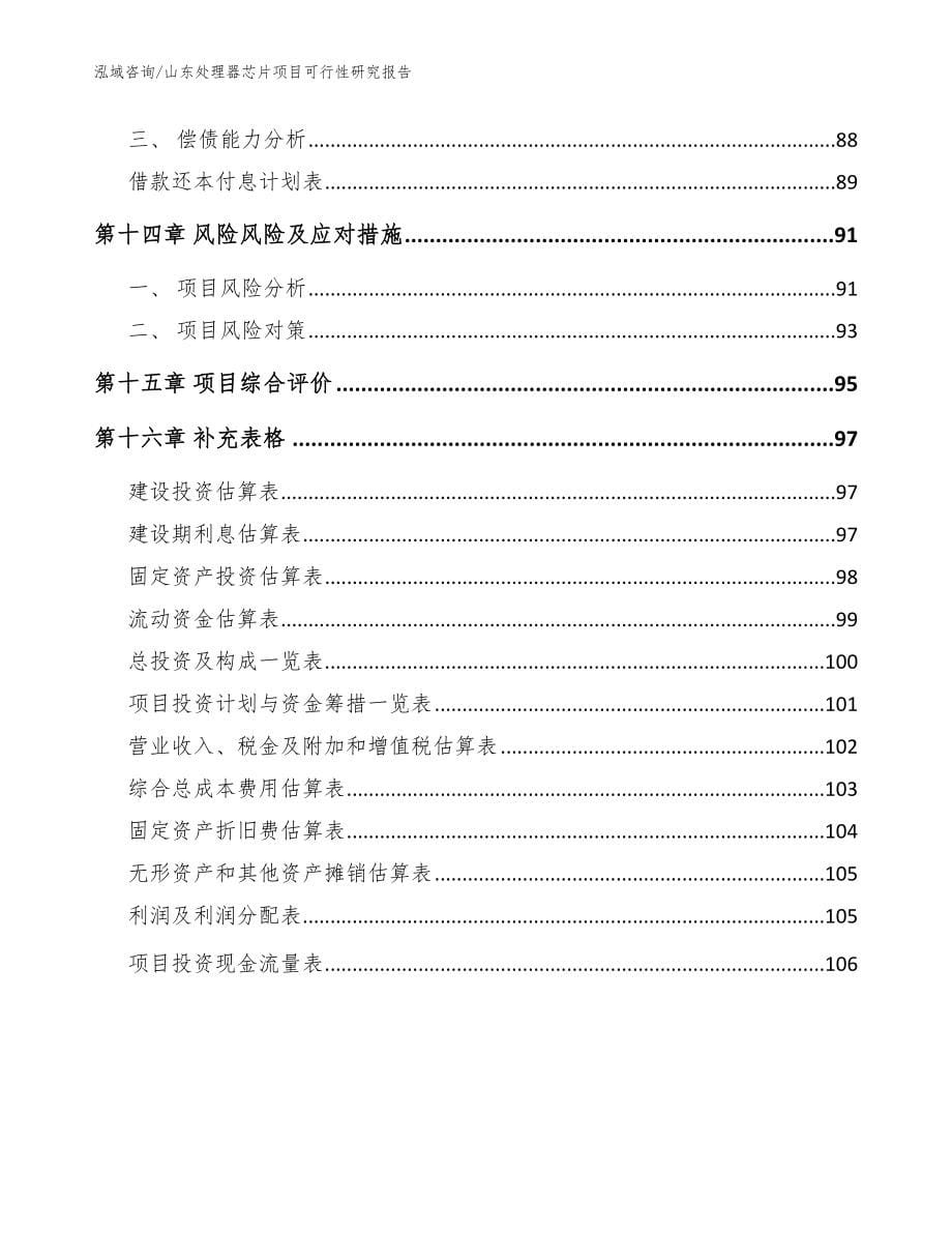 山东处理器芯片项目可行性研究报告参考范文_第5页