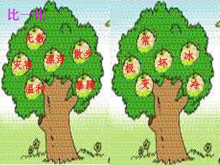 十四我是什么1课件_第5页