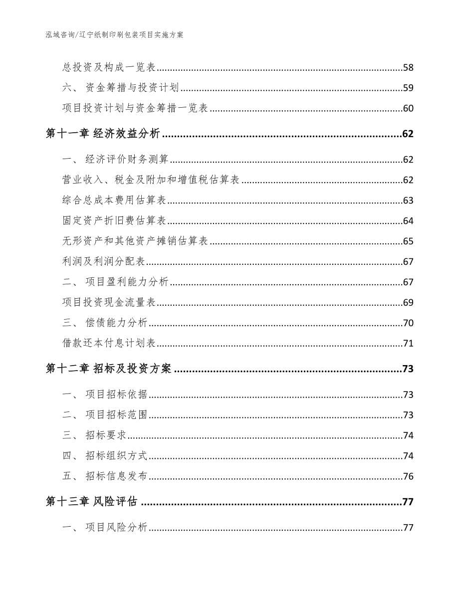 辽宁纸制印刷包装项目实施方案_模板范本_第5页