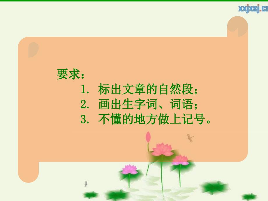 《荷花》教学课件_第2页