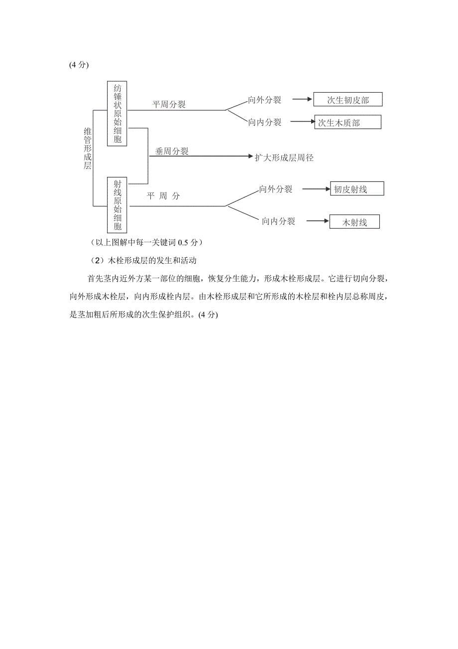 植物学上试卷答案_第5页