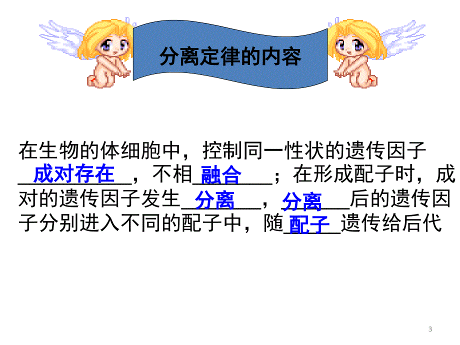 自由组合定律上课.ppt_第3页