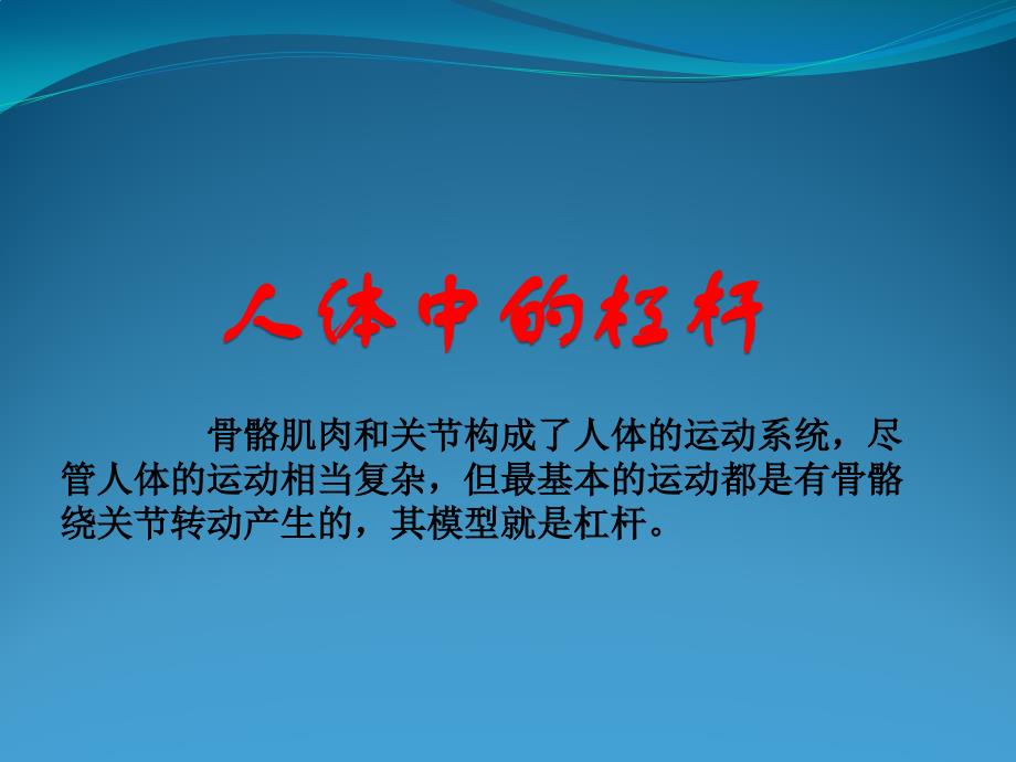 人体中的杠杆_第1页