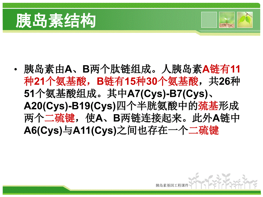 胰岛素基因工程课件_第4页