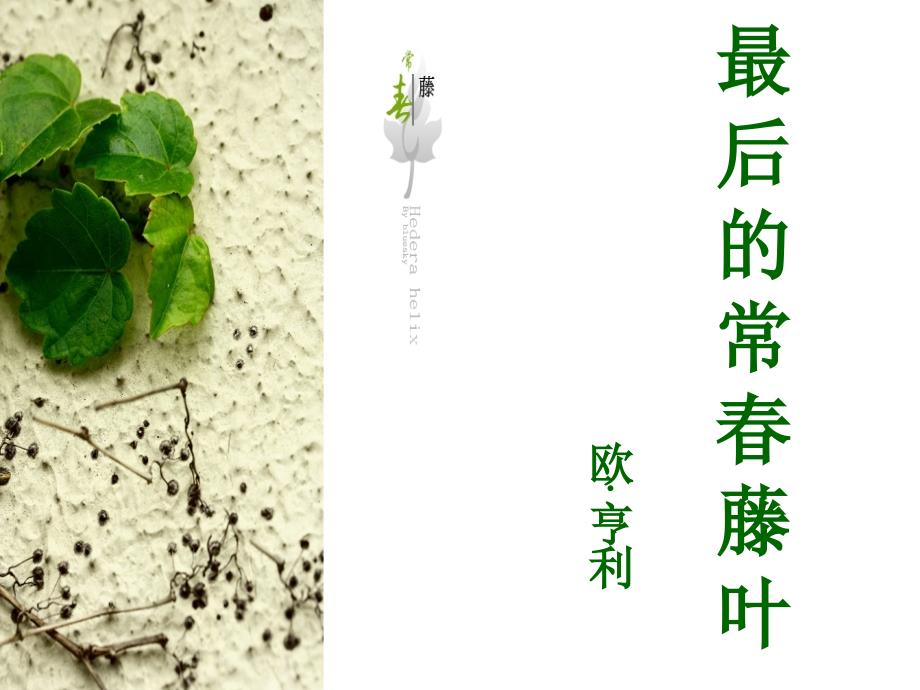 最后的常藤叶课件1资料_第1页