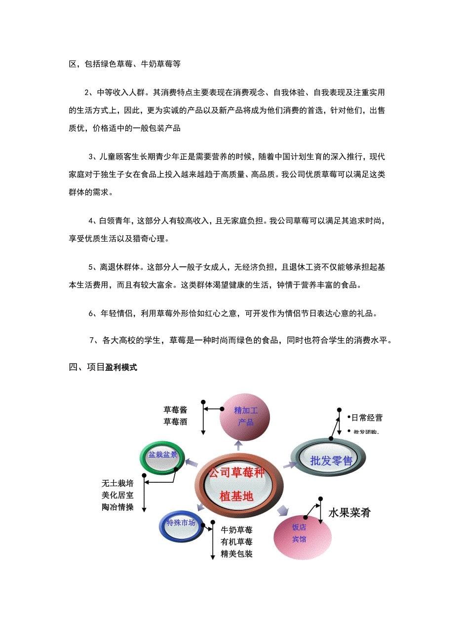 草莓销售计划方案_第5页