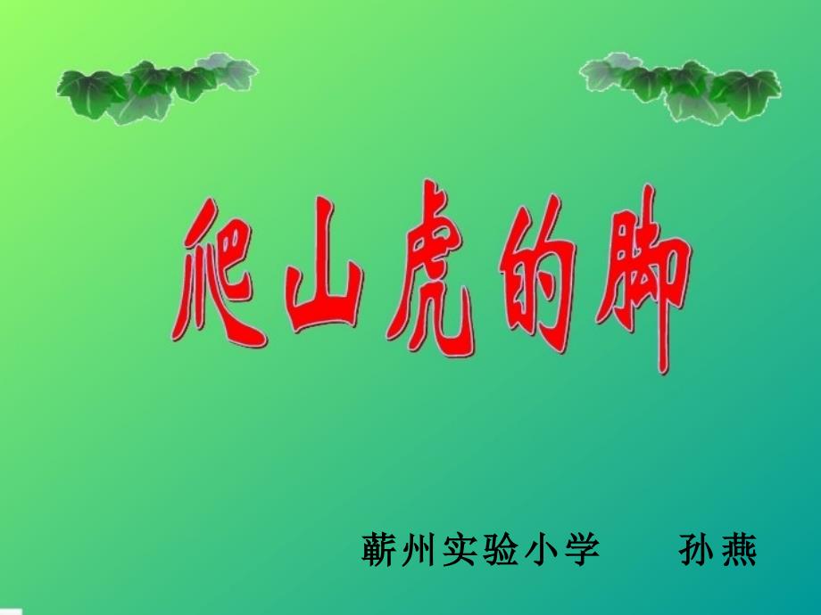 爬山虎的脚 (4)_第1页