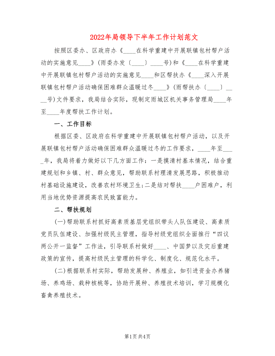 2022年局领导下半年工作计划范文_第1页