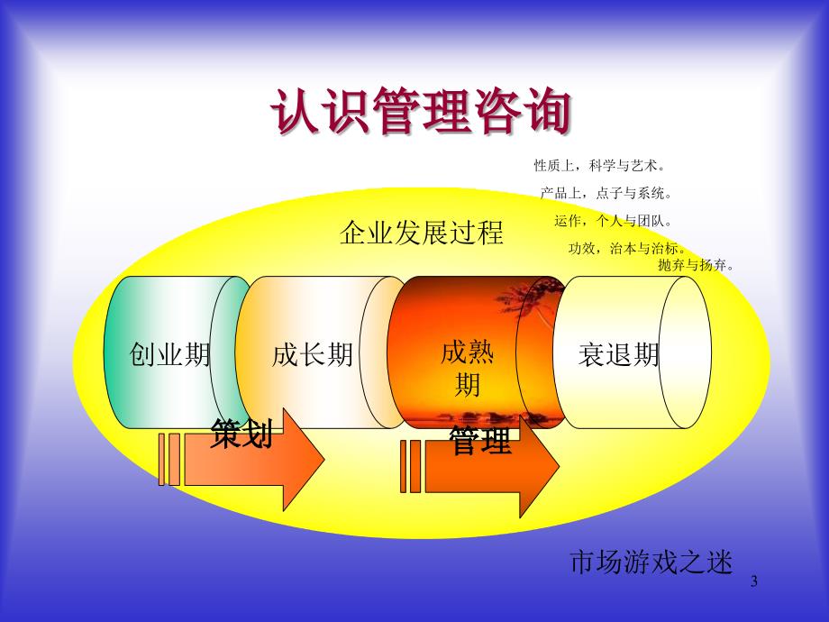 管理咨询顾问课程91110_第3页