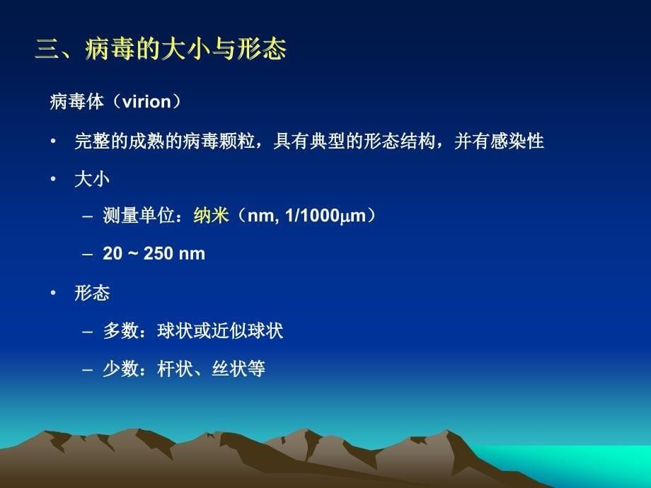 医学微生物学：7病毒基本性状、感染与免疫、诊断与防治_第5页