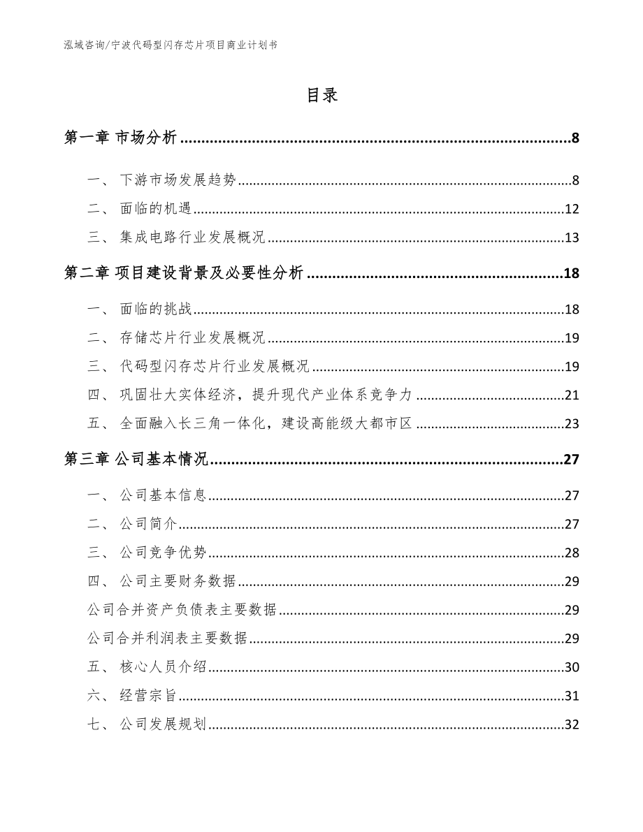 宁波代码型闪存芯片项目商业计划书_第2页