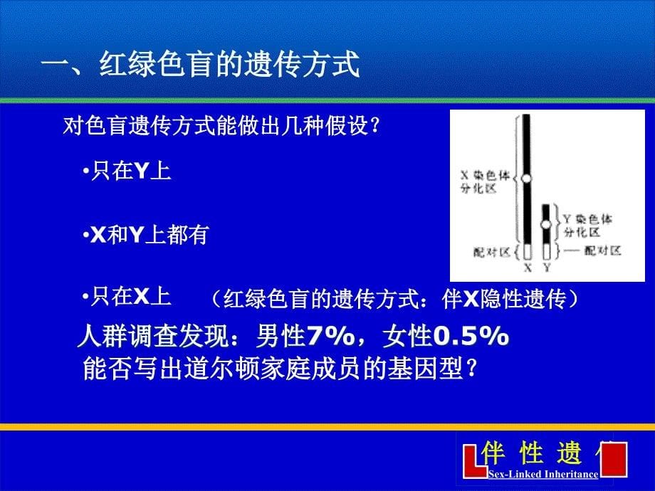 伴性遗传0711061PPT_第5页